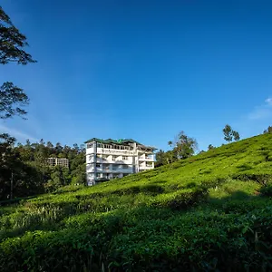 Monsoon Grande 4*, Munnar India